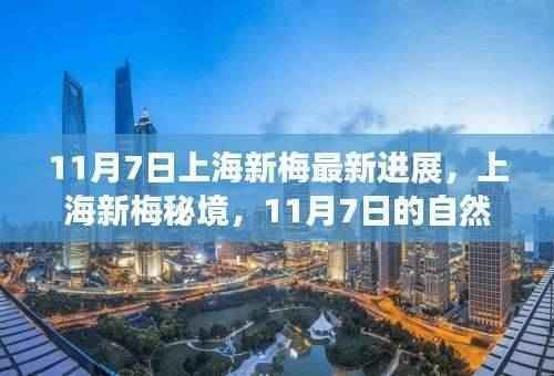 上海新梅秘境,心灵港湾的自然探索之旅(11月7日最新进展)