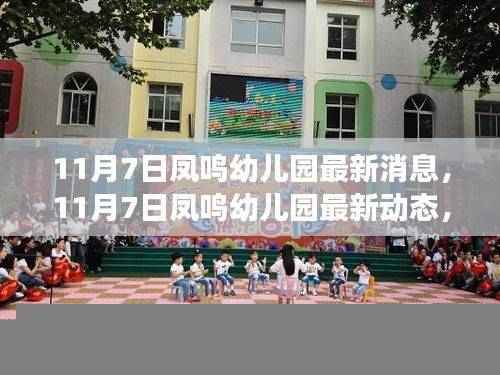 探索成长新篇章,凤鸣幼儿园最新动态与消息(11月7日)