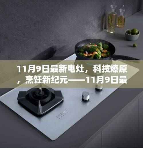 科技燎原烹饪革新，最新电灶体验报告揭秘烹饪新纪元