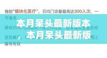 本月呆头最新版本使用指南,一步步成为高手攻略