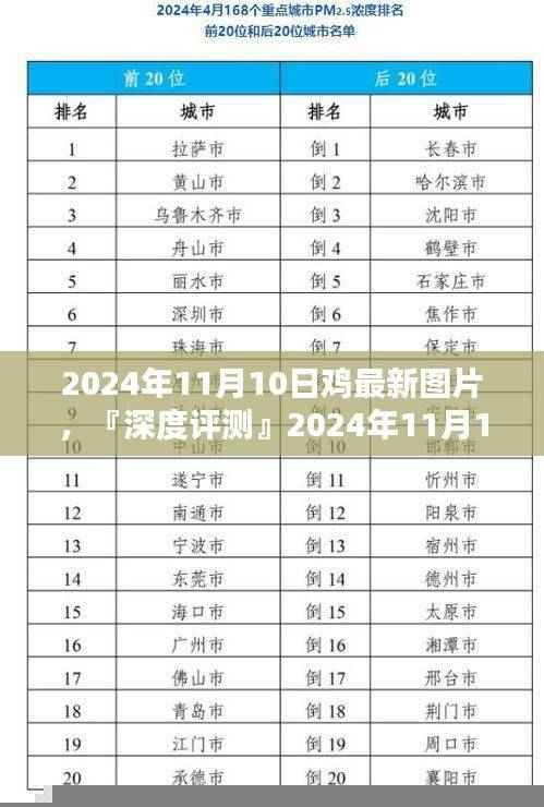 『深度解析』2024年11月10日最新鸡图片全解析及欣赏