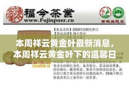 本周祥云黄金叶最新动态,友情、家的温暖与温馨日常的发现