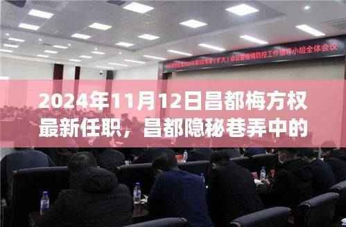 梅方权新职务揭秘，昌都隐秘巷弄美食秘境与独特风味探索