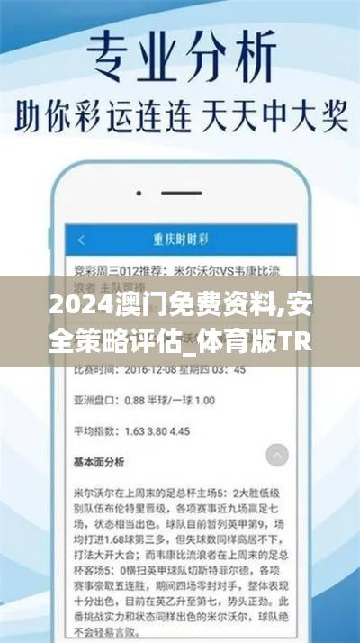 2024澳门免费资料,安全策略评估_体育版TRA372.03