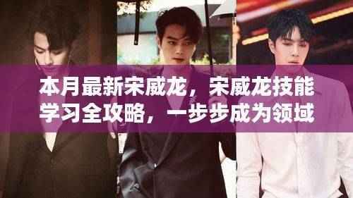 宋威龙技能学习全攻略,一步步引领你成为领域高手之路