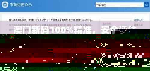 澳门新码100%精准，安全评估策略方案（副本FEQ137.97）