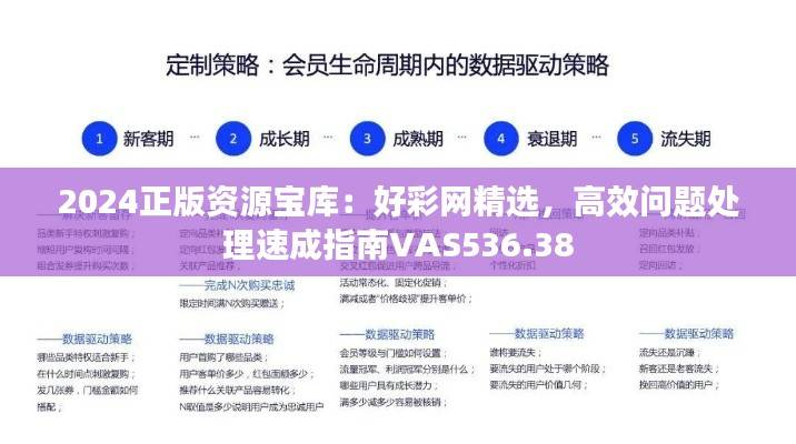 2024正版资源宝库:好彩网精选,高效问题处理速成指南VAS536.38