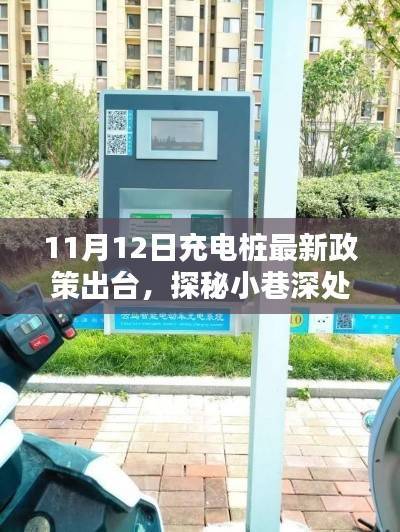 探秘绿色能量宝藏,充电桩新政策下的隐藏瑰宝与小巷深处的惊喜(11月12日最新政策解读)