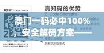 澳门一码必中100%,安全解码方案——日常版NFJ88.88