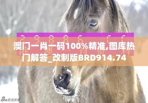澳门一肖一码100%精准,图库热门解答_改制版BRD914.74
