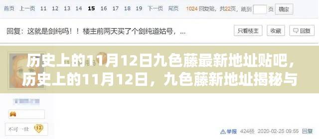 历史上的11月12日,九色藤新地址揭秘与贴吧热议回顾