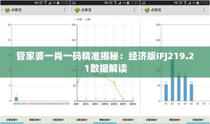 管家婆一肖一码精准揭秘：经济版IFJ219.21数据解读
