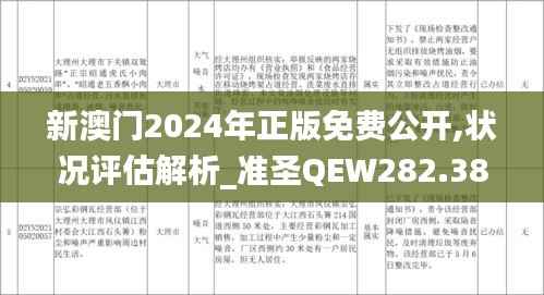 新澳门2024年正版免费公开,状况评估解析_准圣QEW282.38