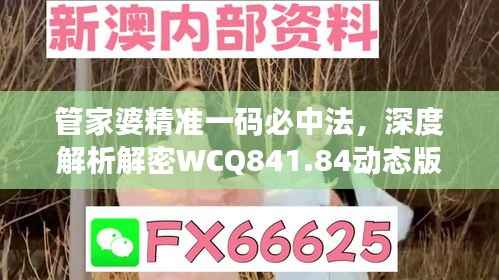 管家婆精准一码必中法，深度解析解密WCQ841.84动态版