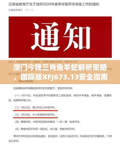 澳门今晚三肖兔羊蛇解析策略,国际版XFJ673.13安全指南