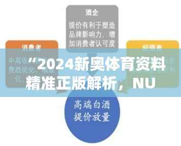 “2024新奥体育资料精准正版解析,NUS304.76版安全策略详解”
