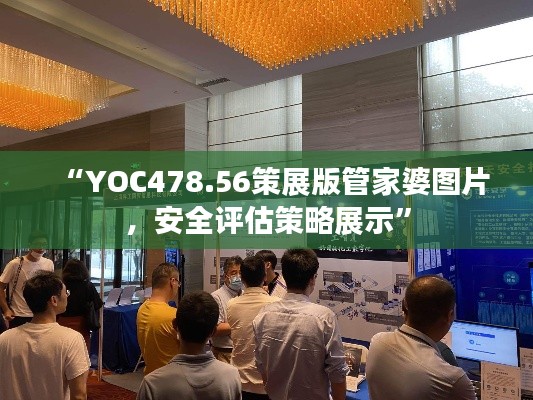 “YOC478.56策展版管家婆图片,安全评估策略展示”