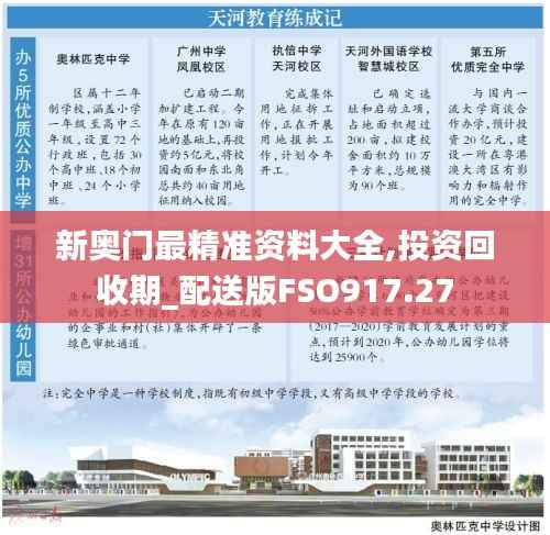 新奥门最精准资料大全,投资回收期_配送版FSO917.27