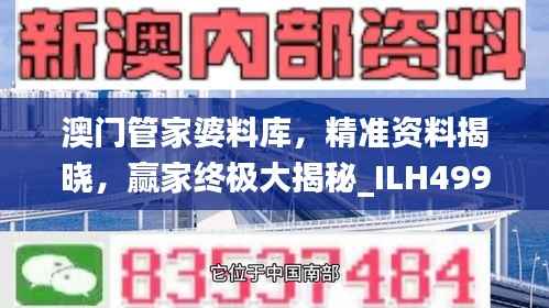 澳门管家婆料库,精准资料揭晓,赢家终极大揭秘_ILH499.19