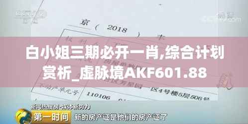 白小姐三期必开一肖,综合计划赏析_虚脉境AKF601.88