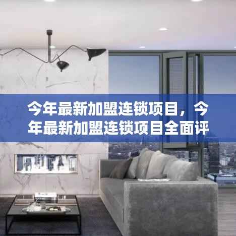 今年热门加盟连锁项目全面解析,产品特性、用户体验与目标用户分析