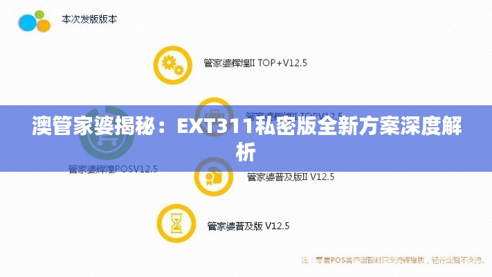 澳管家婆揭秘:EXT311私密版全新方案深度解析