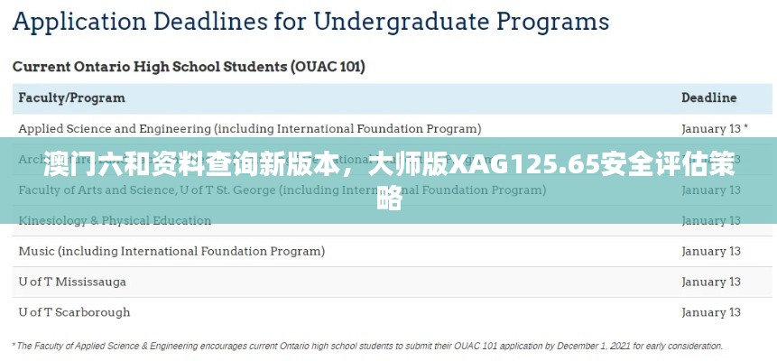 澳门六和资料查询新版本，大师版XAG125.65安全评估策略