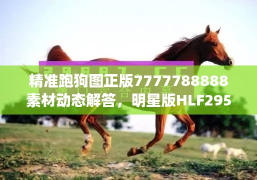 精准跑狗图正版7777788888素材动态解答,明星版HLF295.95方案