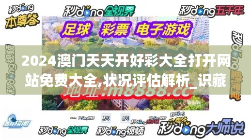2024澳门天天开好彩大全打开网站免费大全,状况评估解析_识藏QJR50.34
