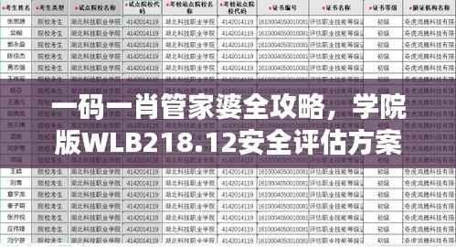一码一肖管家婆全攻略,学院版WLB218.12安全评估方案