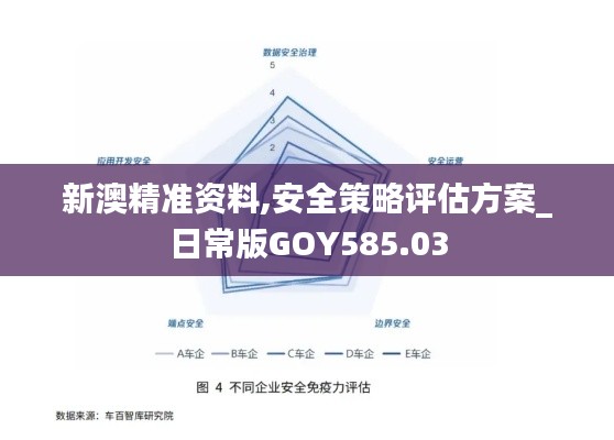 新澳精准资料,安全策略评估方案_日常版GOY585.03