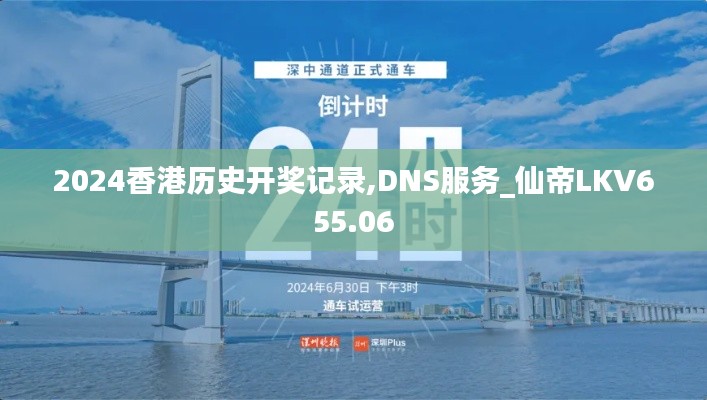 2024香港历史开奖记录,DNS服务_仙帝LKV655.06