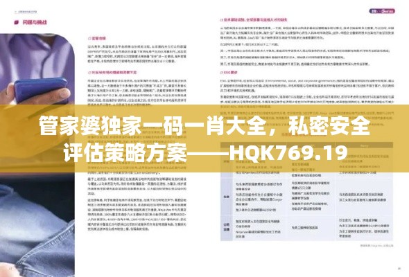 管家婆独家一码一肖大全,私密安全评估策略方案——HQK769.19
