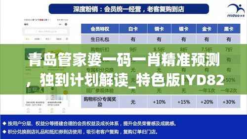 青岛管家婆一码一肖精准预测,独到计划解读_特色版IYD820.91