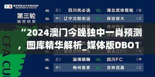 “2024澳门今晚独中一肖预测,图库精华解析_媒体版DBO194.19”