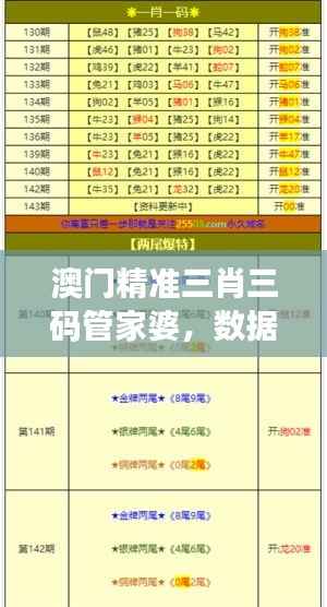 澳门精准三肖三码管家婆,数据解析版ZGC464.15高效版