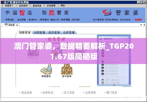 澳门管家婆,数据精要解析_TGP201.67版简略版