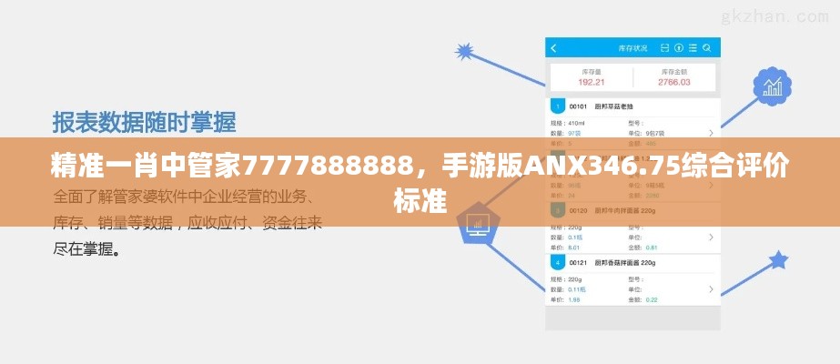 精准一肖中管家7777888888,手游版ANX346.75综合评价标准