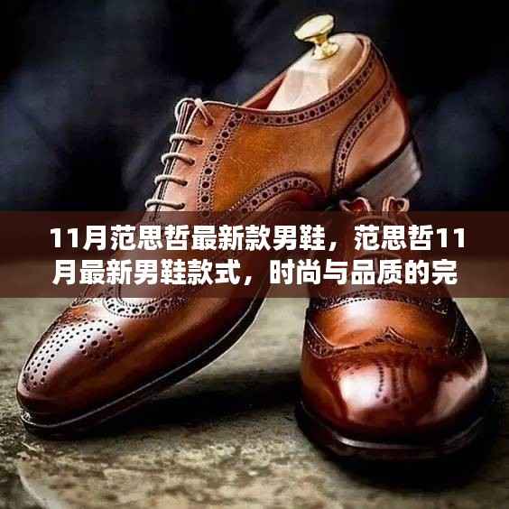 范思哲11月最新男鞋款式,时尚与品质的完美融合亮相在即