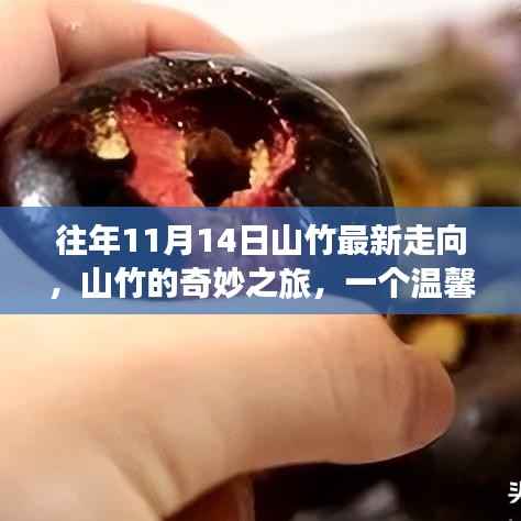 山竹的奇妙之旅,温馨有趣的日常故事与最新走向记录