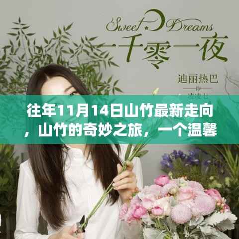 山竹的奇妙之旅,温馨有趣的日常故事与最新走向记录