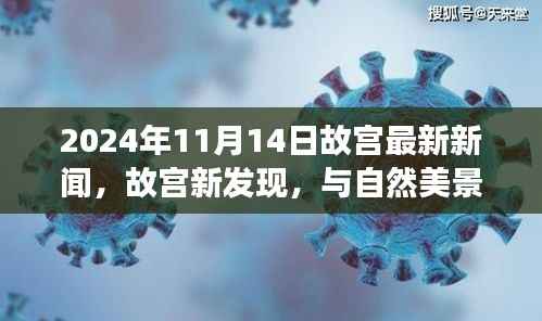 故宫新发现揭秘,与自然美景共舞的心灵之旅(2024年11月14日最新消息)
