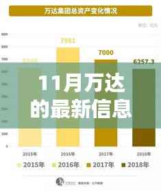 揭秘万达11月最新动态,特性、用户体验与目标用户群体深度评测