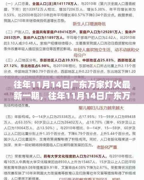 往年11月14日广东万家灯火最新一期深度评测,产品特性与用户体验解析
