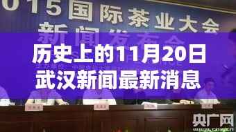历史上的11月20日武汉杀人案深度解析,一起案件引发的思考及新闻回顾
