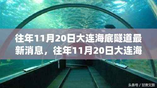 大连海底隧道建设进展深度解析，最新消息与进展报告（往年11月20日）