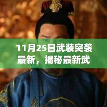 揭秘最新武装突袭行动,深度解读行动要点及影响(某年某月某日案例分析)