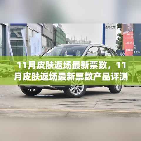 11月皮肤返场最新票数及产品评测报告