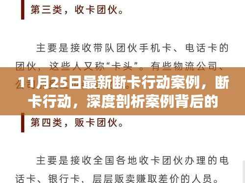 11月25日最新断卡行动案例深度解析,意义、争议与背后故事