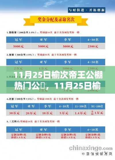 榆次帝王公棚热门公告解析,探寻行业焦点与未来趋势展望